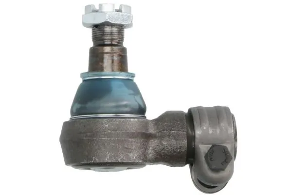 RH523002 Reinhoch