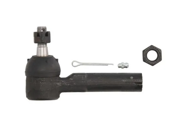 RH016005 Reinhoch