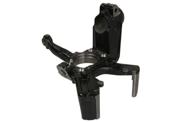 RH080023 Reinhoch