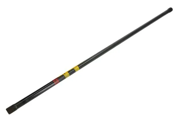 RH102013 Reinhoch