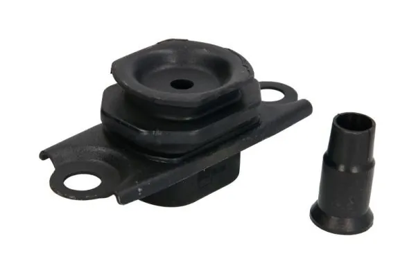 RH112166 Reinhoch