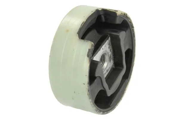 RH110113 Reinhoch