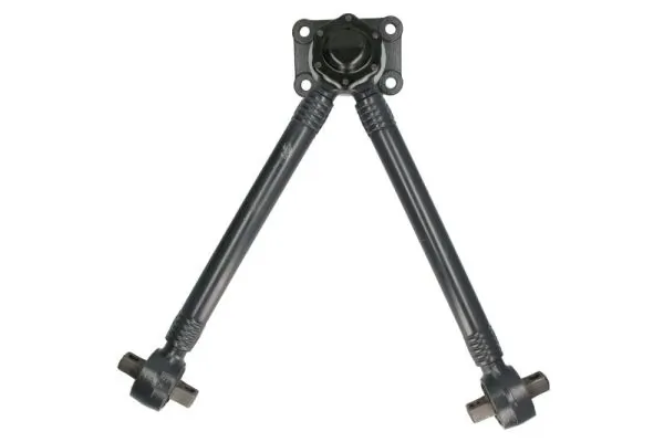RH537005 Reinhoch
