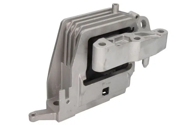 RH113117 Reinhoch