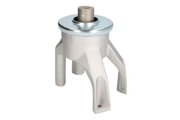 RH110126 Reinhoch