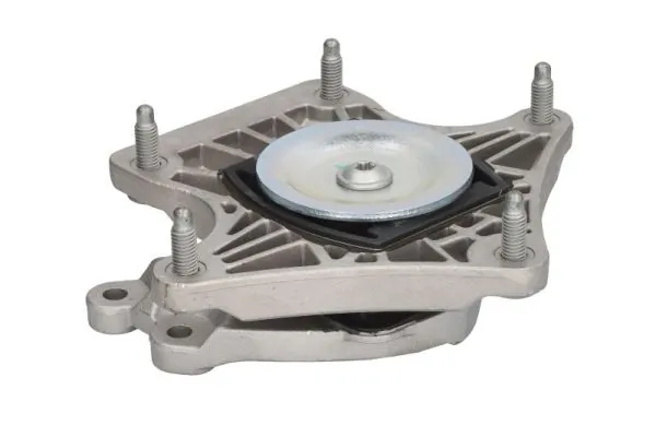 RH123023 Reinhoch