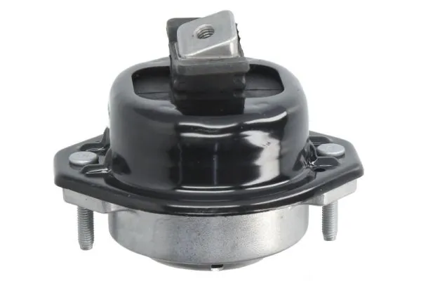 RH113158 Reinhoch