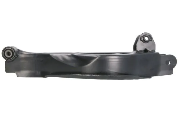 RH055031 Reinhoch