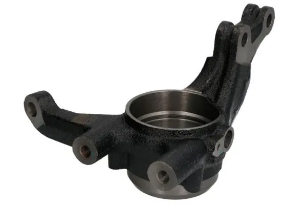 RH087003 Reinhoch