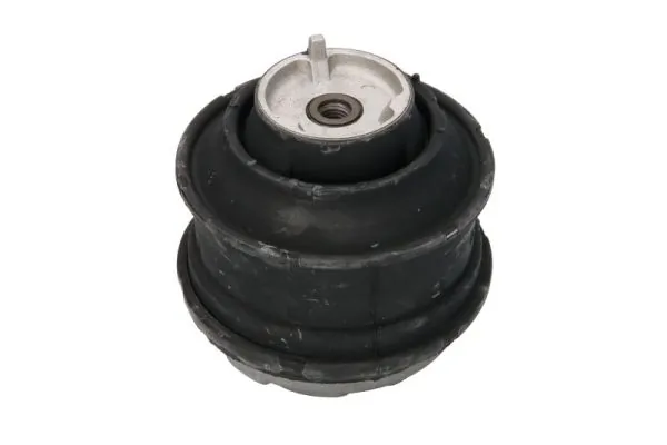 RH113011 Reinhoch