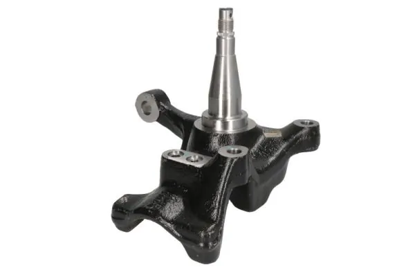 RH084026 Reinhoch