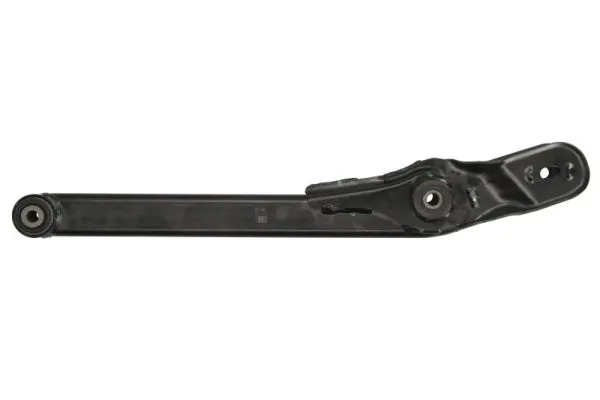 RH051005 Reinhoch