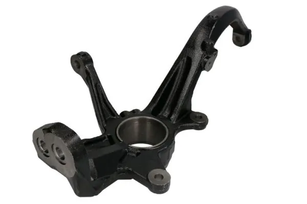 RH088027 Reinhoch