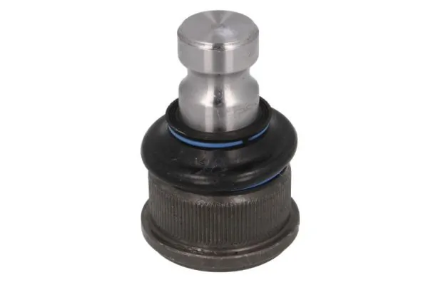 RH032022 Reinhoch