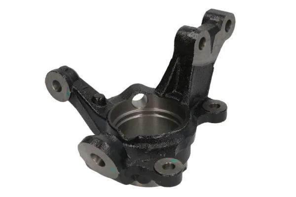 RH088009 Reinhoch