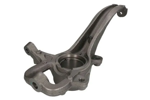 RH080065 Reinhoch