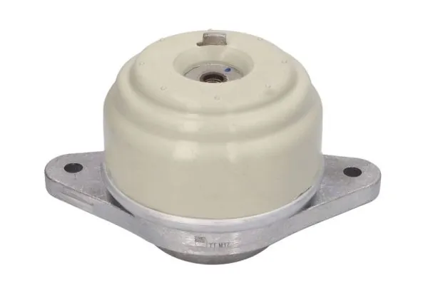 RH113099 Reinhoch