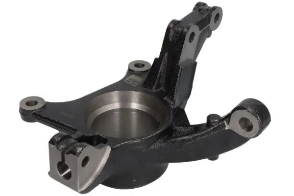 RH082036 Reinhoch