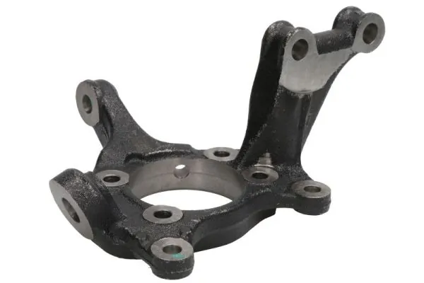 RH088023 Reinhoch