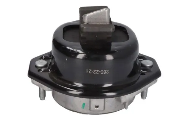 RH113107 Reinhoch
