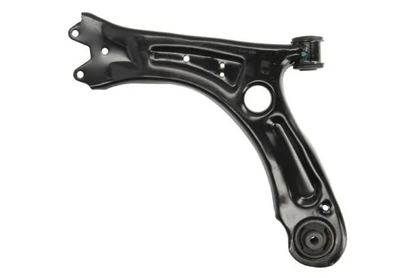 RH040078 Reinhoch