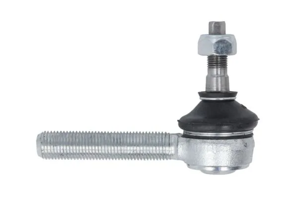 RH578001 Reinhoch