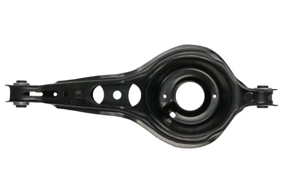 RH055036 Reinhoch