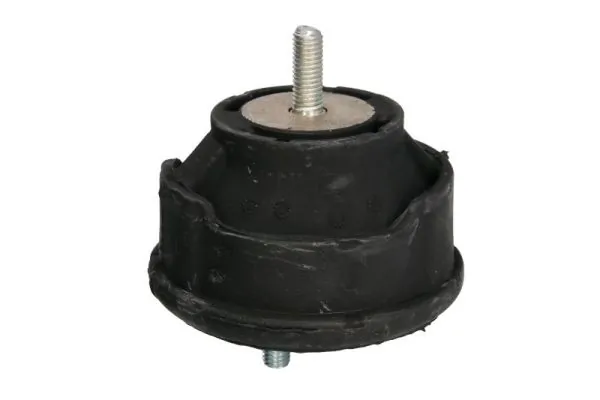 RH113053 Reinhoch