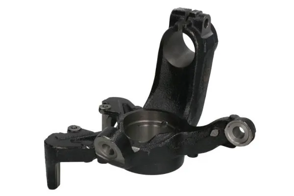 RH080040 Reinhoch