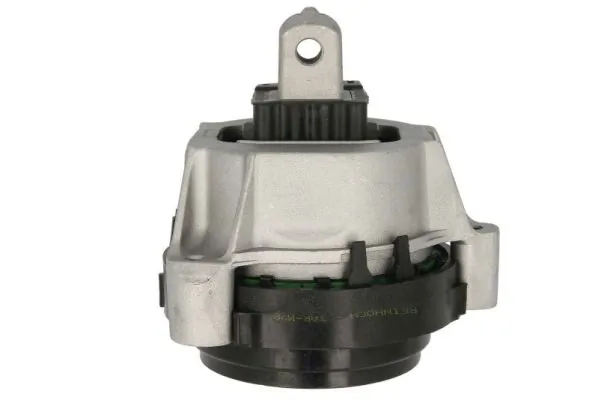 RH113115 Reinhoch