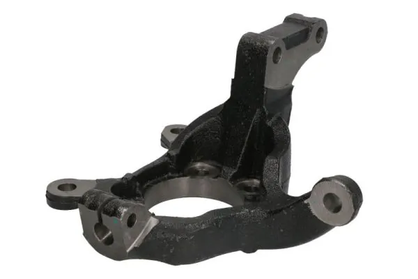 RH088002 Reinhoch