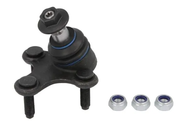 RH030025 Reinhoch