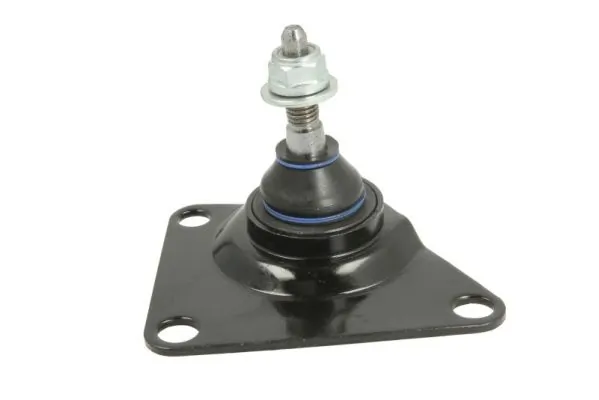RH036006 Reinhoch