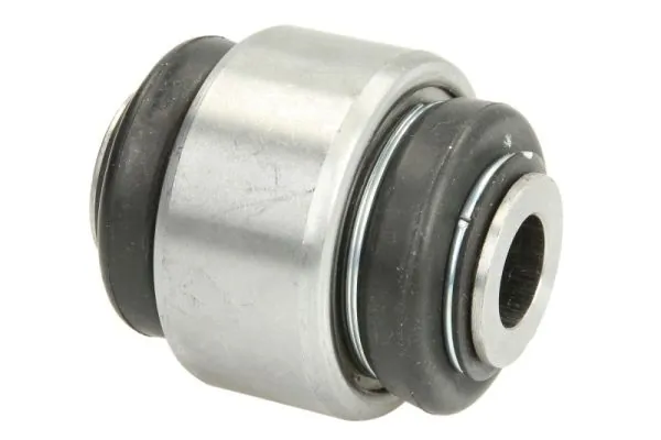 RH153040 Reinhoch