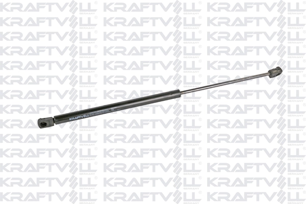 09010307 Kraftvoll