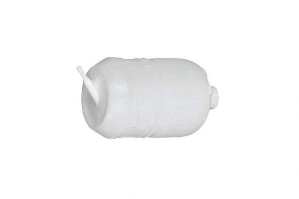 Comprar Vaso de expansión Renault 19 II B53, C53