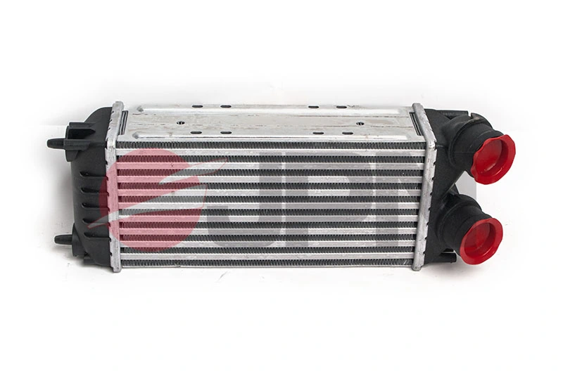 Radiador de aire de admisión Citroen C4 PICASSO I monovolumen (UD) (2006 - 2013) precio, desde 45,14 EUR