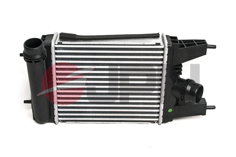 Radiador de aire, intercooler Nissan JUKE (F15E)