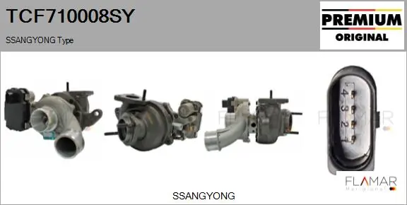 Turbo SsangYong Rodius  ()