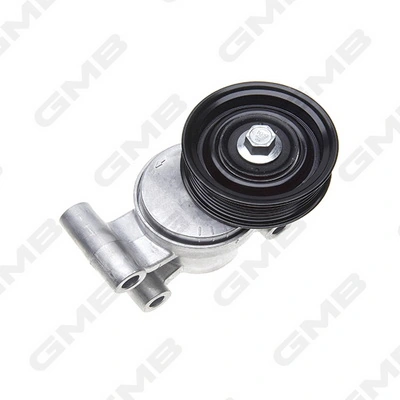 GAT31690 GMB