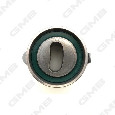 Tensor de la correa de distribución GMB GT80100 precio, desde 19,51 EUR