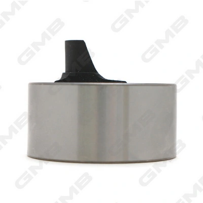 GT90080 GMB Rodillo de cadena