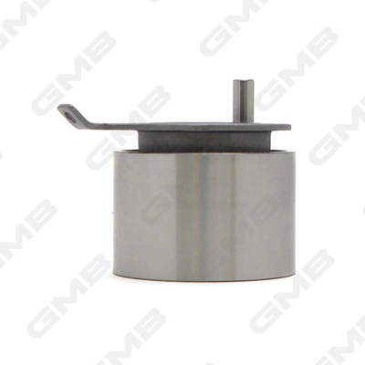 Tensor de la correa de distribución GMB GT30010 precio, desde 9,69 EUR