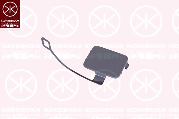 0062919A1 Klokkerholm