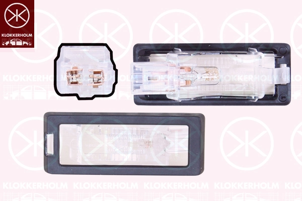 Luces LED de matricula Renault LOGAN II sedán comprar en España