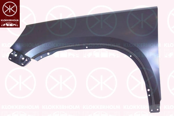 Aleta delantera izquierda Volkswagen Tiguan I desde 83,49 €