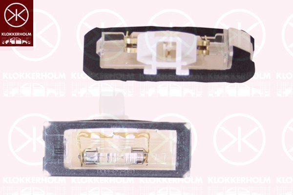 Comprar Luces LED de matricula Boxer  250