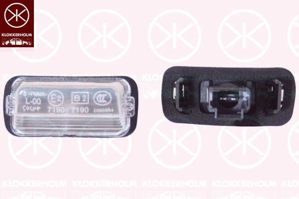 Luces LED de matricula para Peugeot 406 (8E, F)