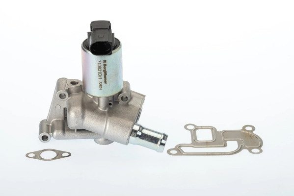 710831D Borg-Warner