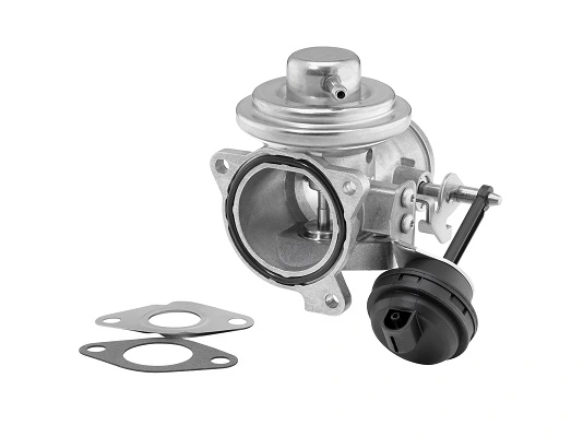 7293D Borg-Warner